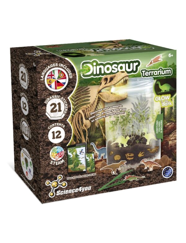 Caja del dinosaur terrarium