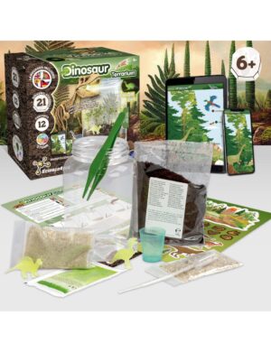 Kit de dinosaur terrarium